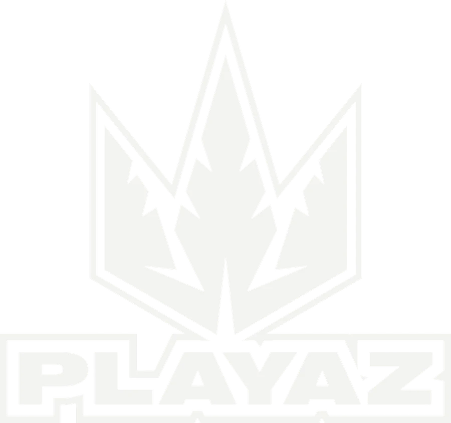 Playaz logo
